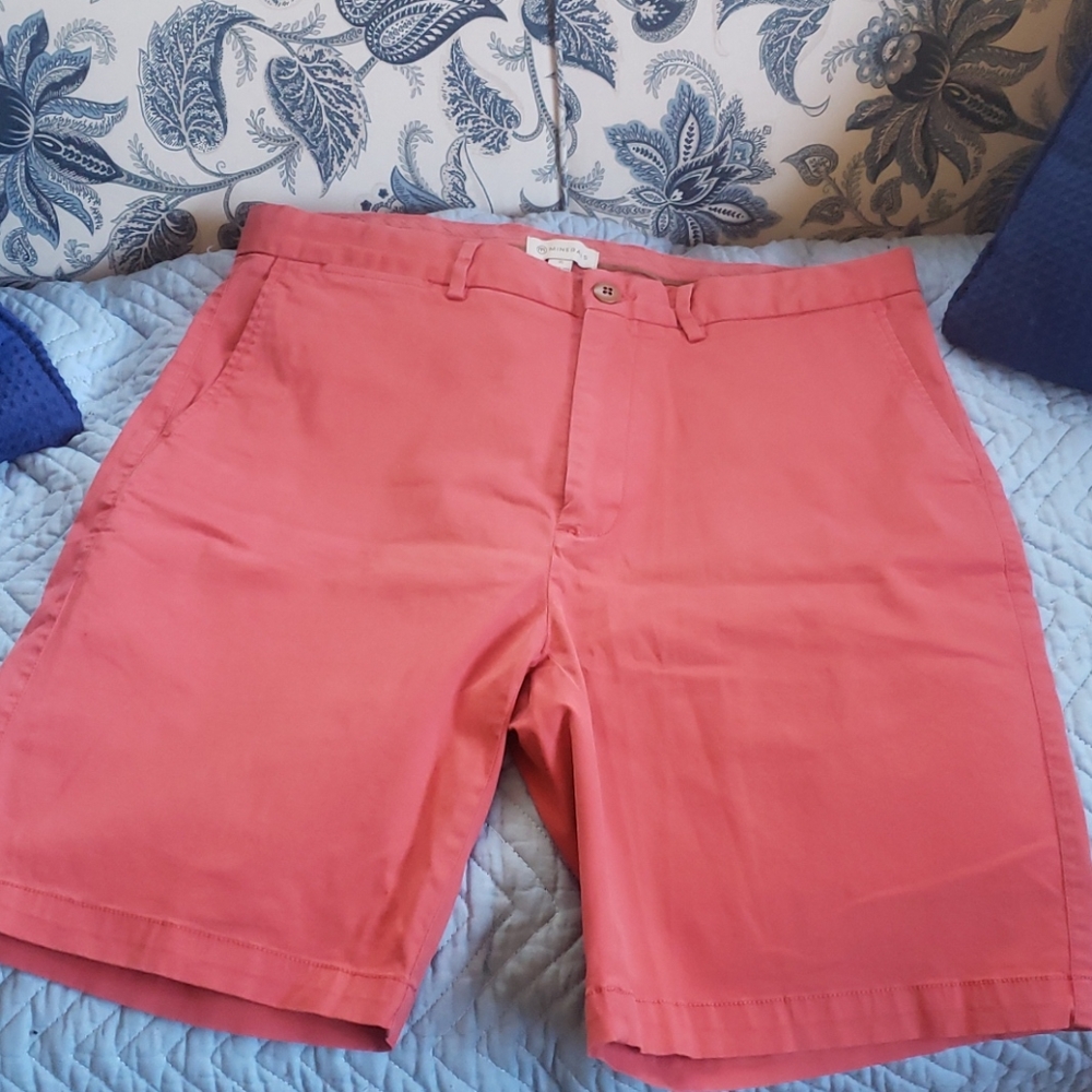 Mens shorts size 35 (Minerals)
